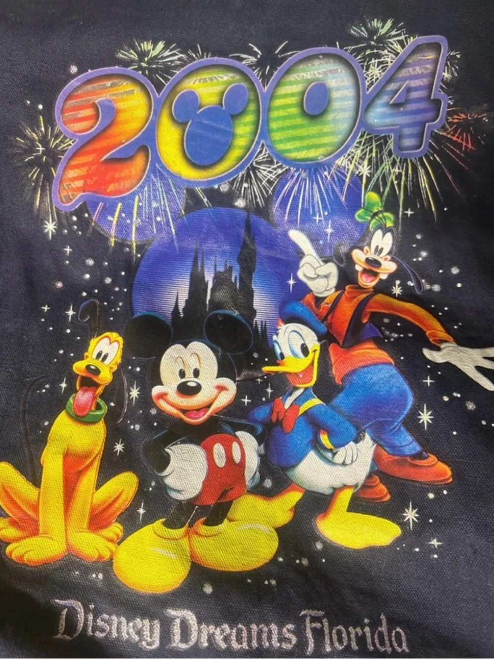 Disney Navy Multi‑Color 2004 Disney Dreams Florida Tote Bag
